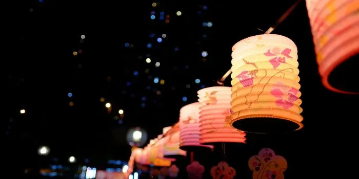 Chinese Lanterns Lunar New Year Decorations