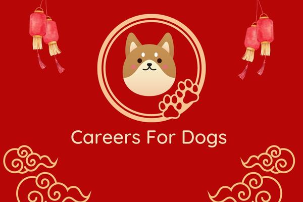 Careers For Dog In 2023