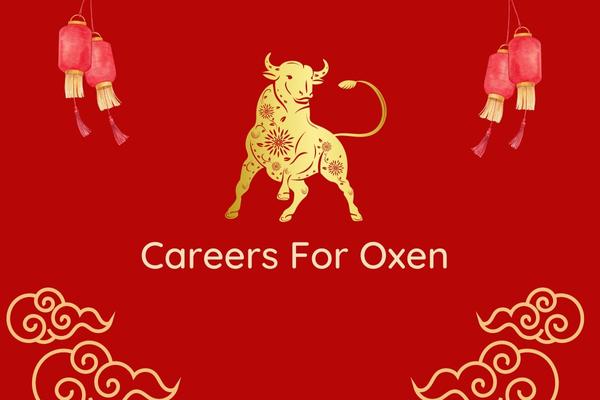 Careers For ox In 2023