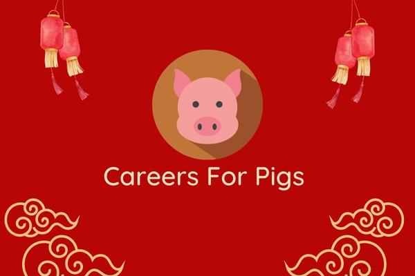 Careers For pigs In 2023