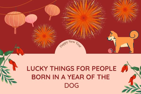 Lucky Things For People Born In a Year Of The Dog
