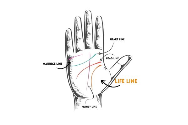 palm line-life lines