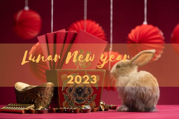 Chinese New Year Decorations Lunar New year  2023 
